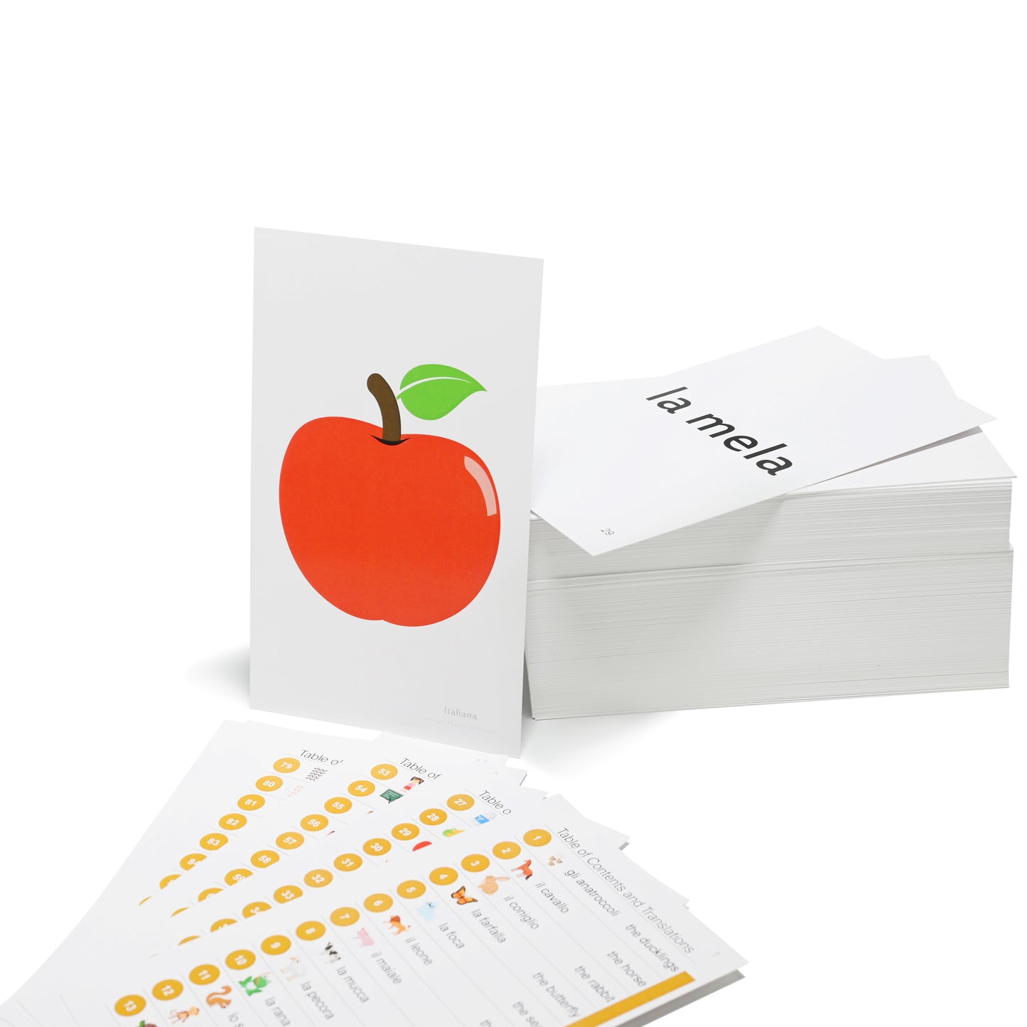 192 Italian Beginning Vocabulary Flash Cards with Original Artwork