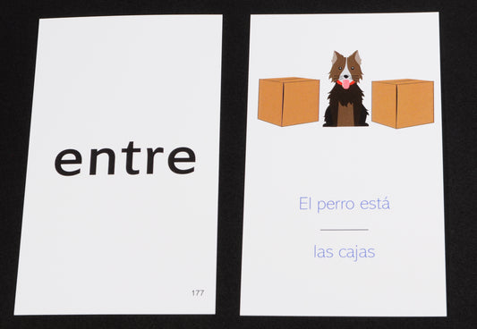 192 Spanish Beginning Vocabulary Flash Cards with Original Artwork