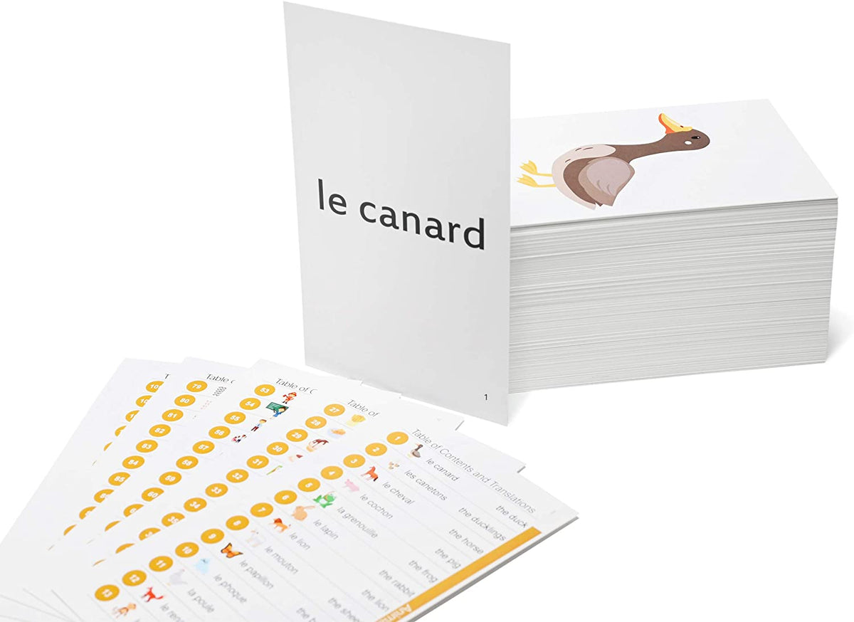 192 French Vocabulary Flash Cards - Beginner Language Learning With Original Art