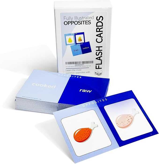 250 Learning Fun English Concepts Flash Cards Bundle
