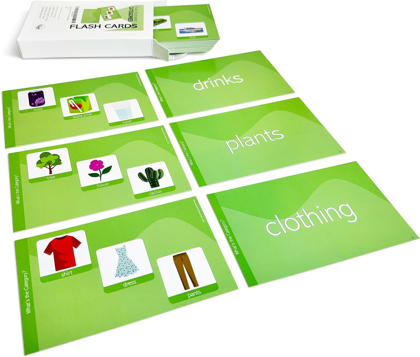 Beginning English Words (Categories)