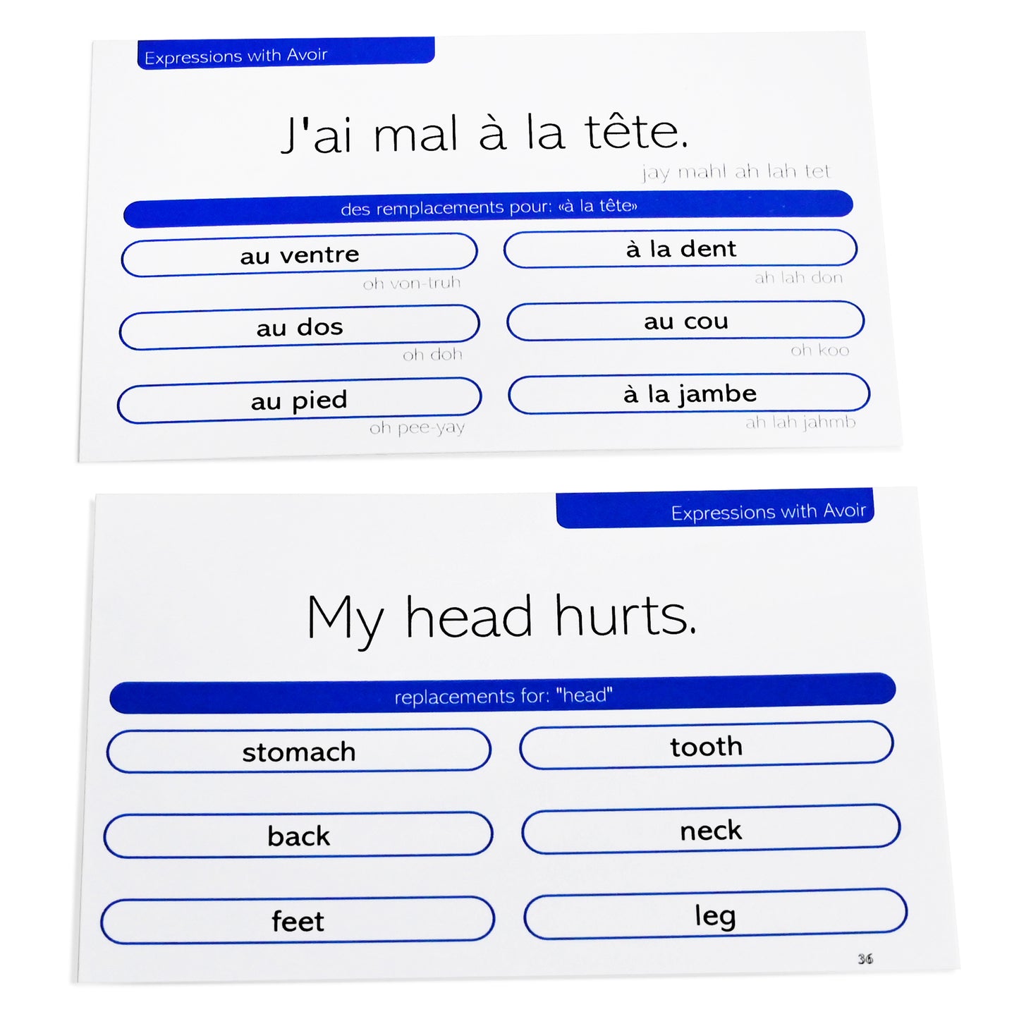 50 French Basic Phrases Flash Cards