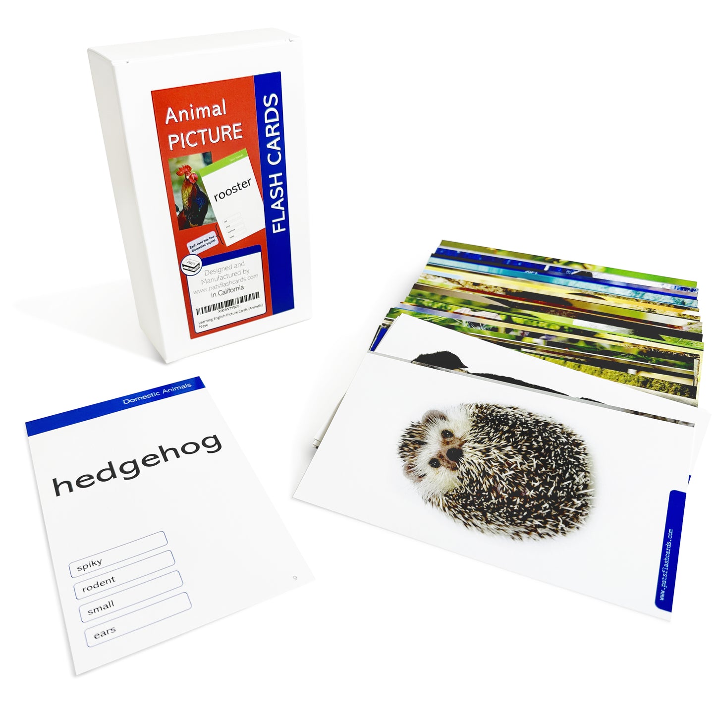 100 Learning English Animals Picture Cards