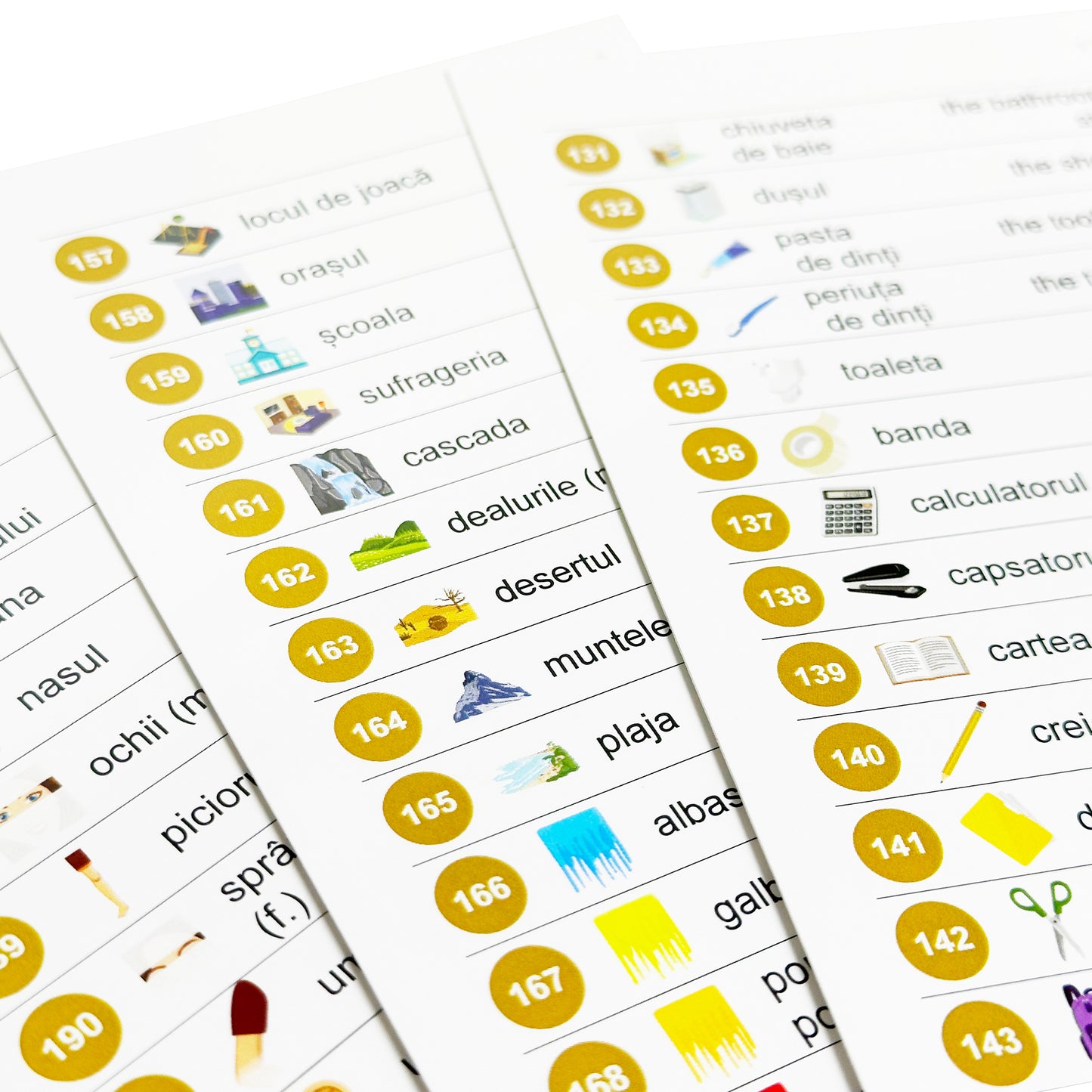 Romanian Flash Cards Bundle