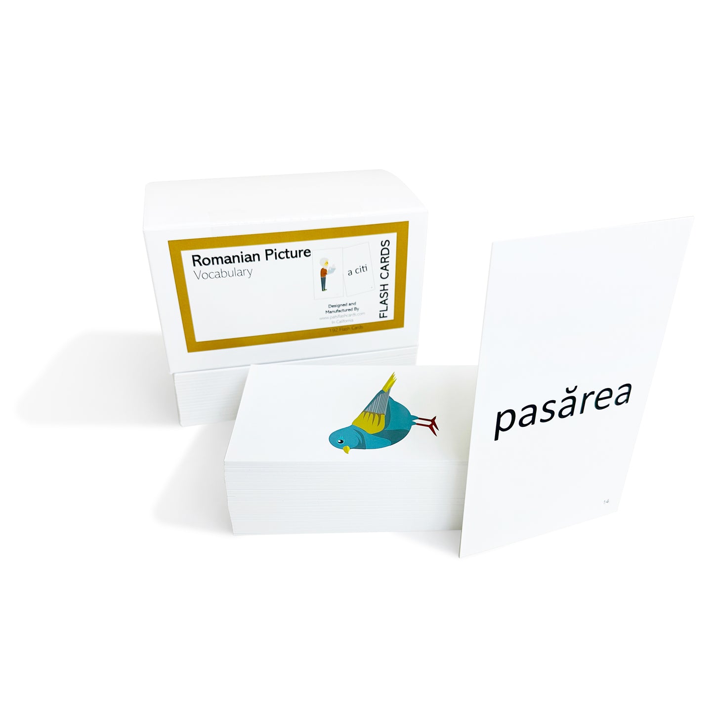 Romanian Flash Cards Bundle