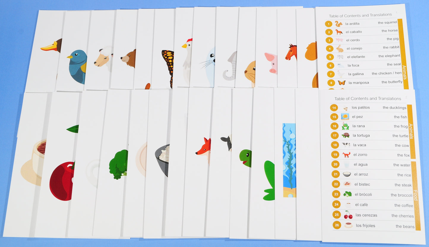 576 Spanish Picture Card Bundle Pack: 384 Spanish Memory Game Playing Cards with 192 Spanish Flash Cards