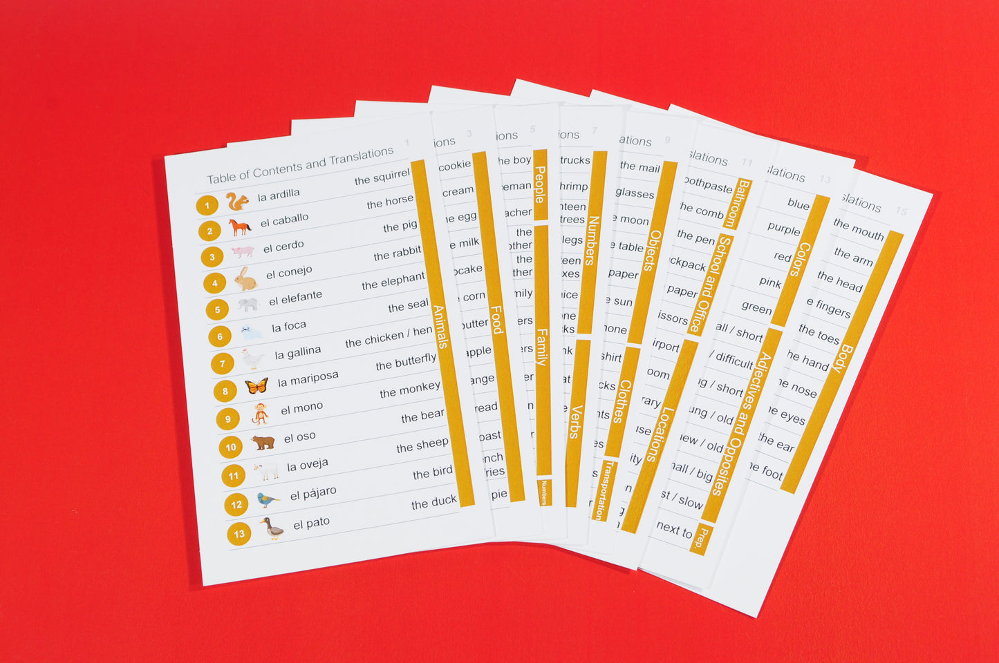 576 Spanish Picture Card Bundle Pack: 384 Spanish Memory Game Playing Cards with 192 Spanish Flash Cards