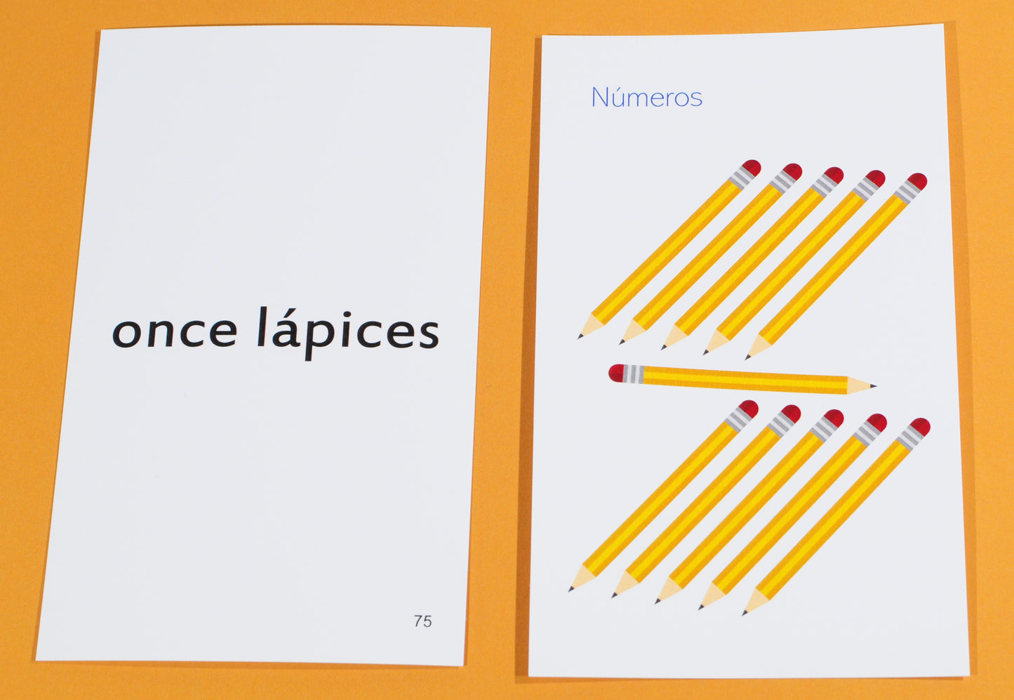 192 Spanish Beginning Vocabulary Flash Cards with Original Artwork