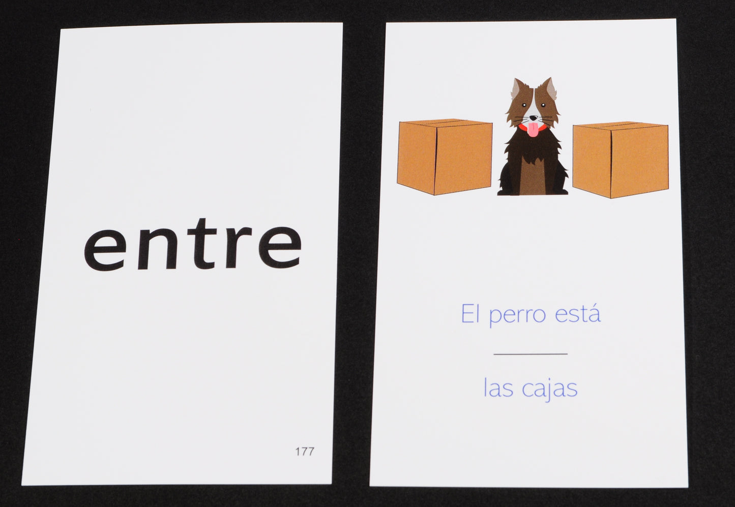 576 Spanish Picture Card Bundle Pack: 384 Spanish Memory Game Playing Cards with 192 Spanish Flash Cards