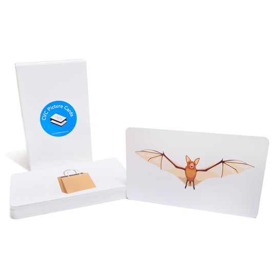 Pre-Phonics CVC Picture Cards