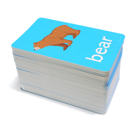 192 Picture Words Flash Cards - Includes Animals, Foods, People, Family, Verbs, Opposites and so Much More!