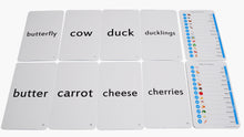 192 Picture Words Flash Cards - Includes Animals, Foods, People, Family, Verbs, Opposites and so Much More!