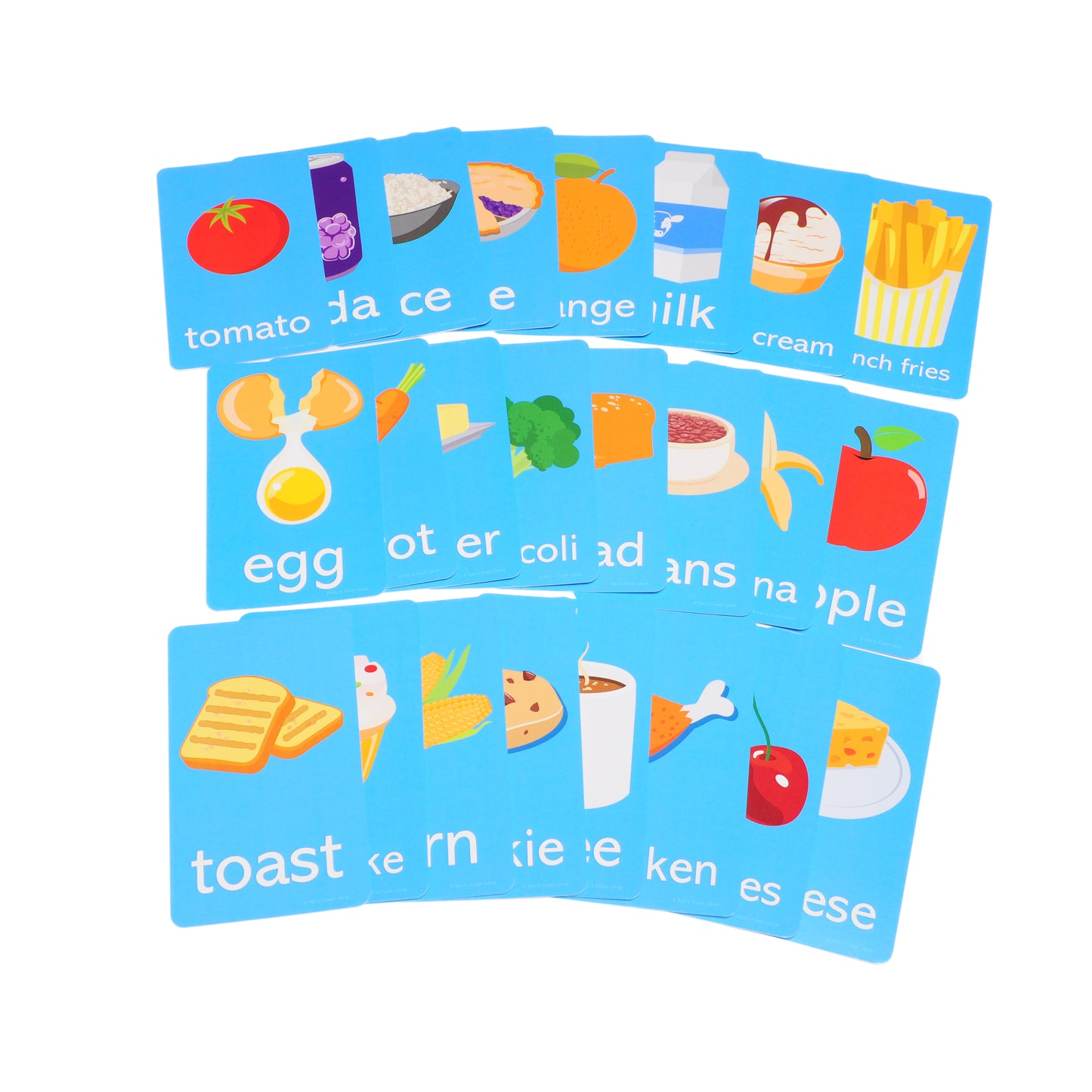 192 Picture Words Flash Cards - Includes Animals, Foods, People, Family, Verbs, Opposites and so Much More!
