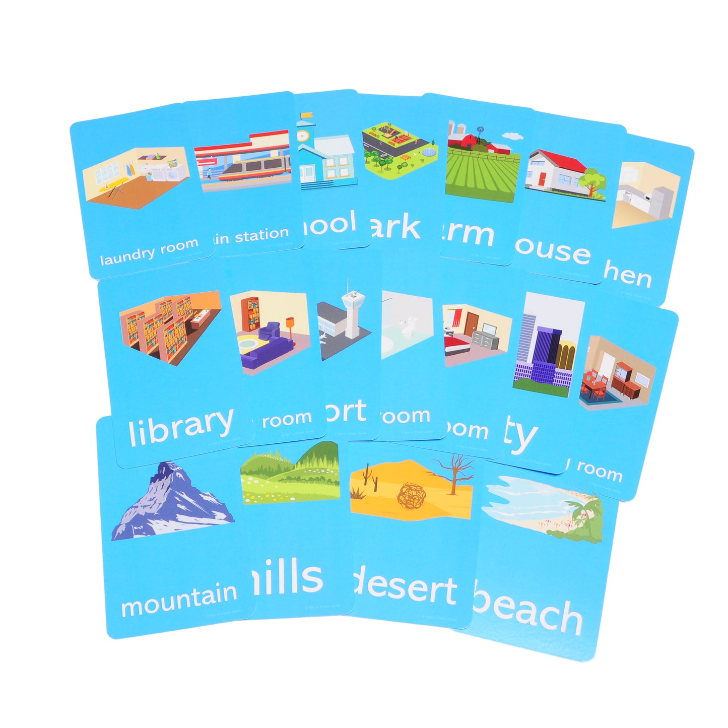 192 Picture Words Flash Cards - Includes Animals, Foods, People, Family, Verbs, Opposites and so Much More!