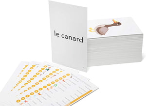 192 French Beginning Vocabulary Flash Cards with Original Artwork